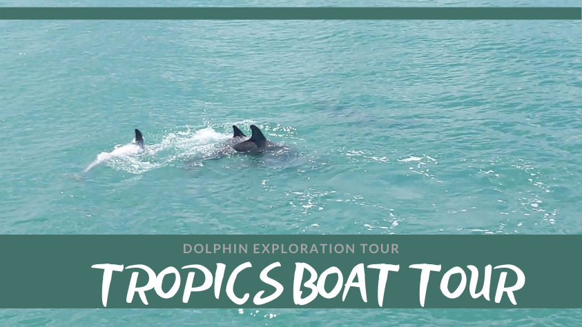 Review: Tropics Boat Tour