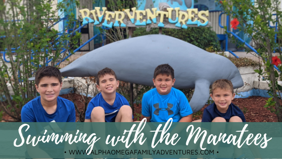 Our Unforgettable Experience Swimming with the Manatees in Crystal River, FL